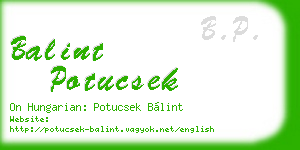 balint potucsek business card
